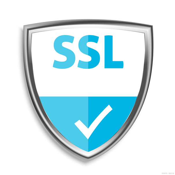 վΪʲôҪSSL֤飿վ